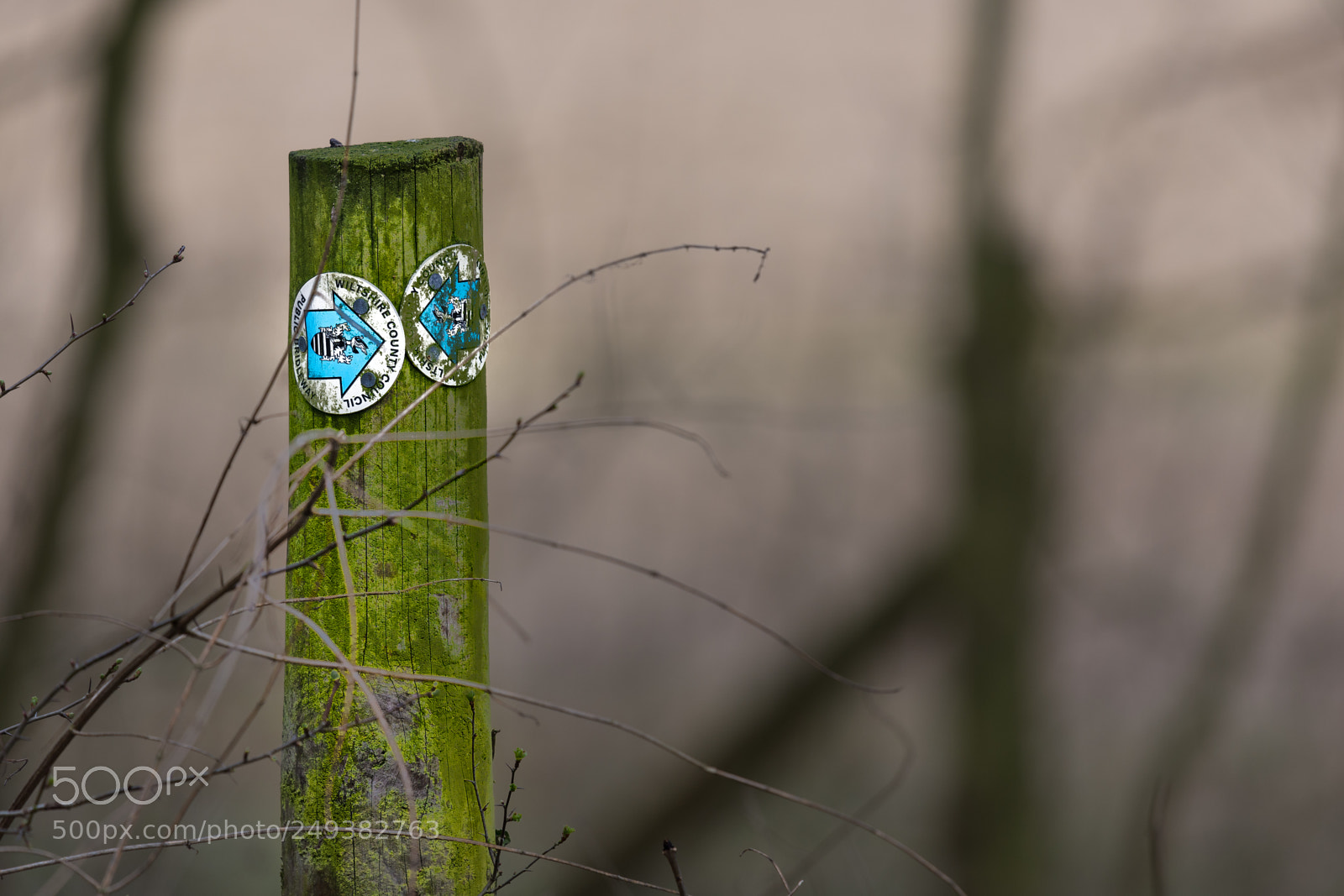 Nikon D7200 sample photo. Which way? photography