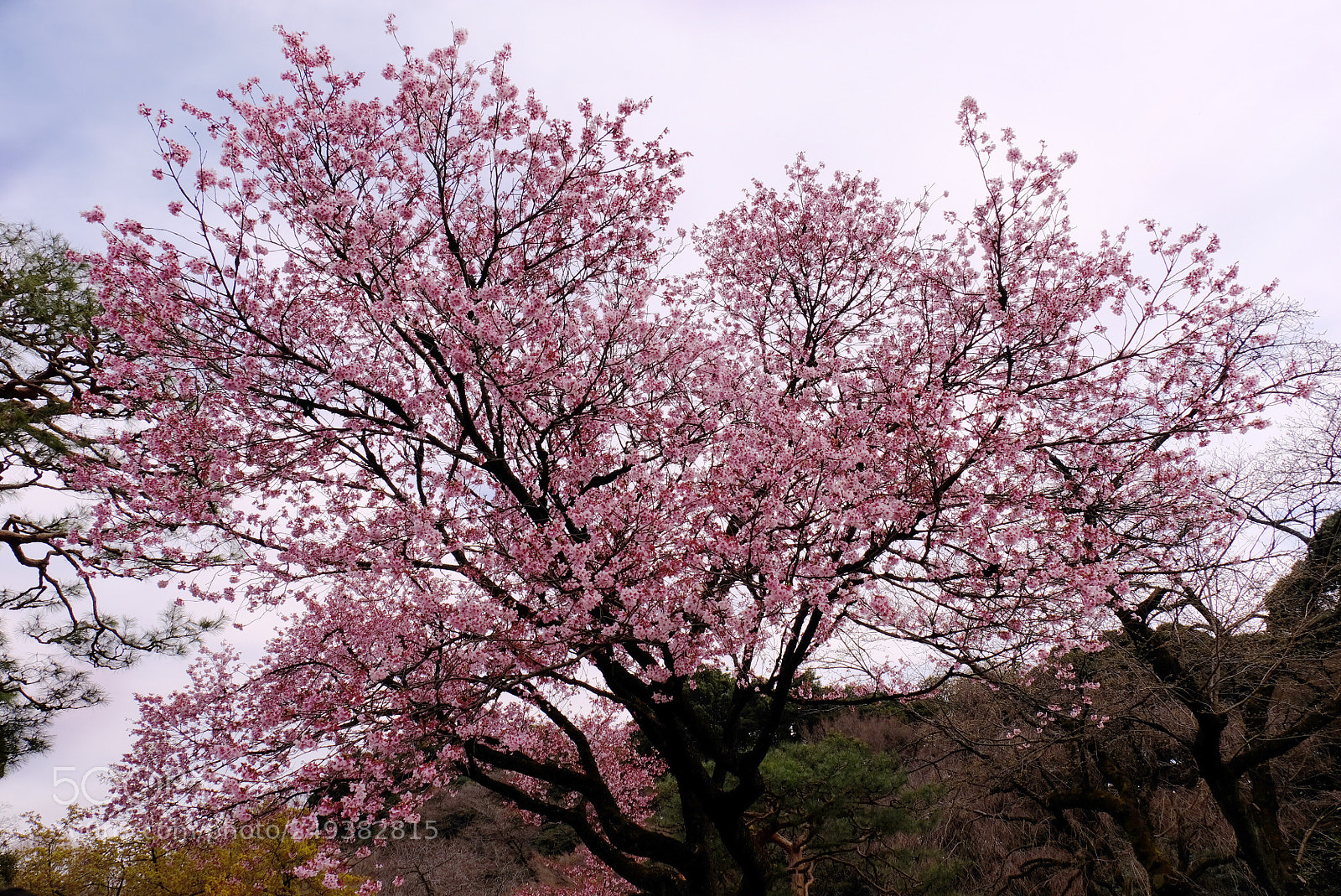 Fujifilm X-Pro2 sample photo. Untitled photography