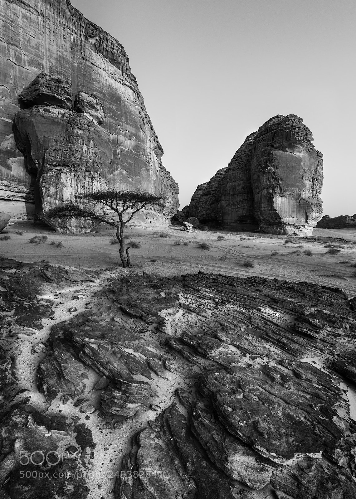 Nikon D610 sample photo. Al-ula photography