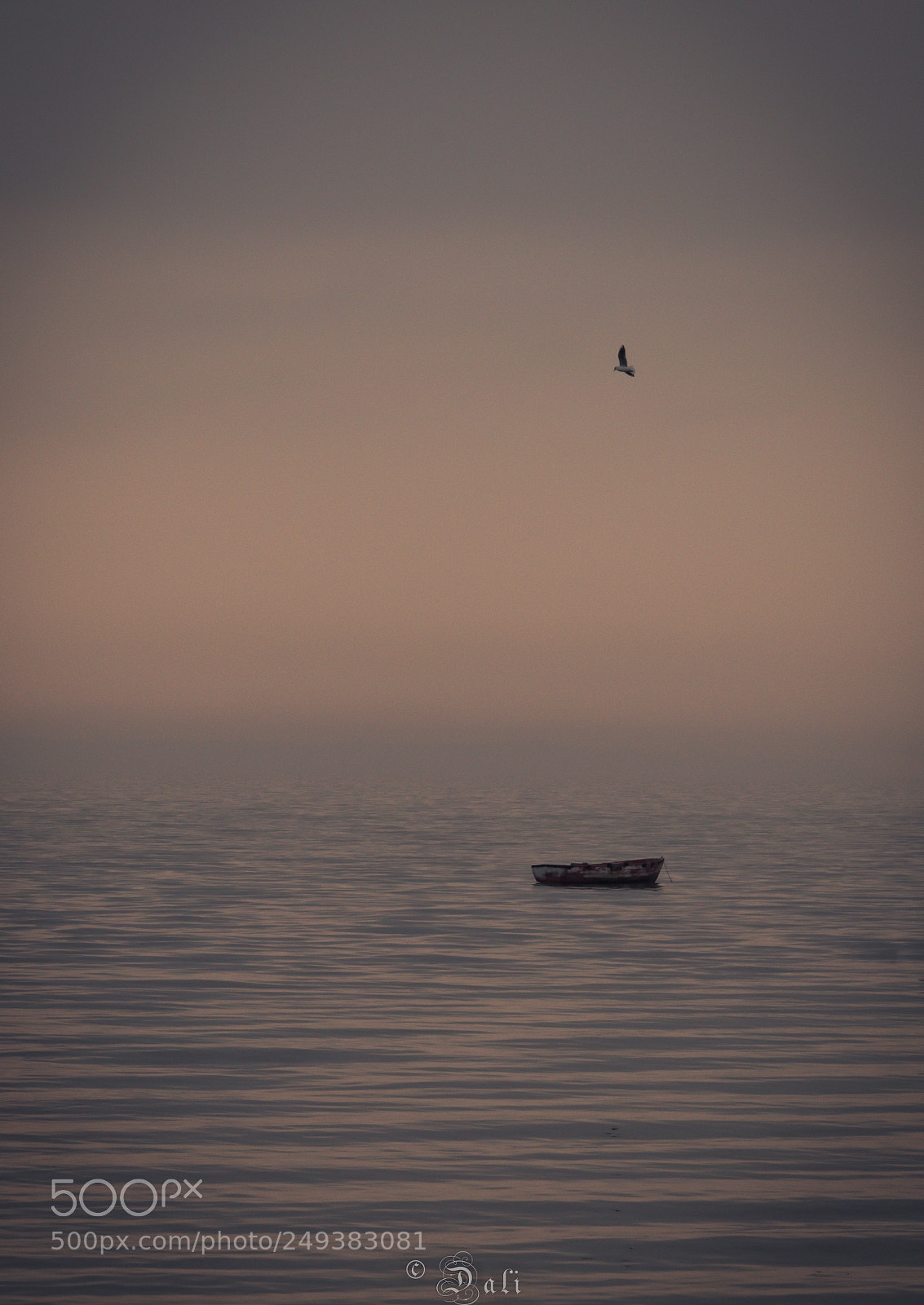 Nikon D810 sample photo. Mkh photography