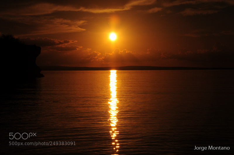 Nikon D90 sample photo. Reflejo de sol photography