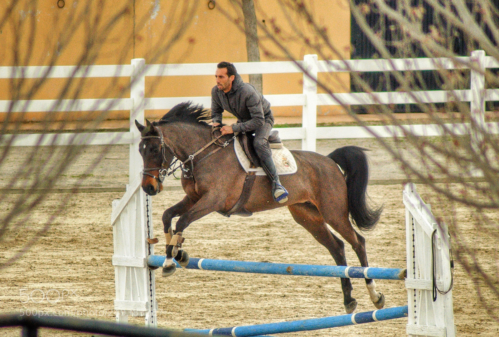 Nikon D90 sample photo. #horse#jumping photography
