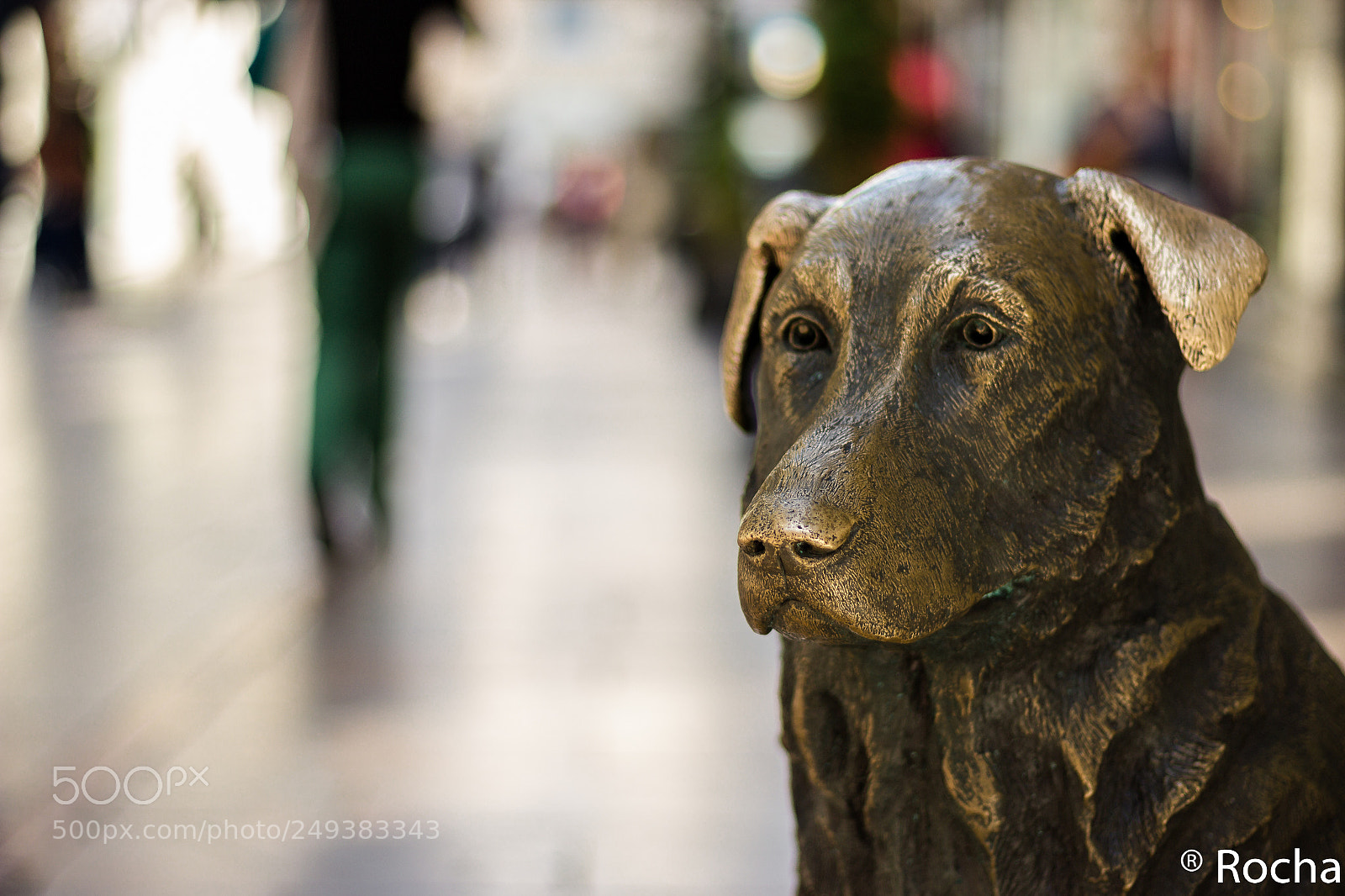 Canon EOS 600D (Rebel EOS T3i / EOS Kiss X5) sample photo. Estatua de  rufo photography