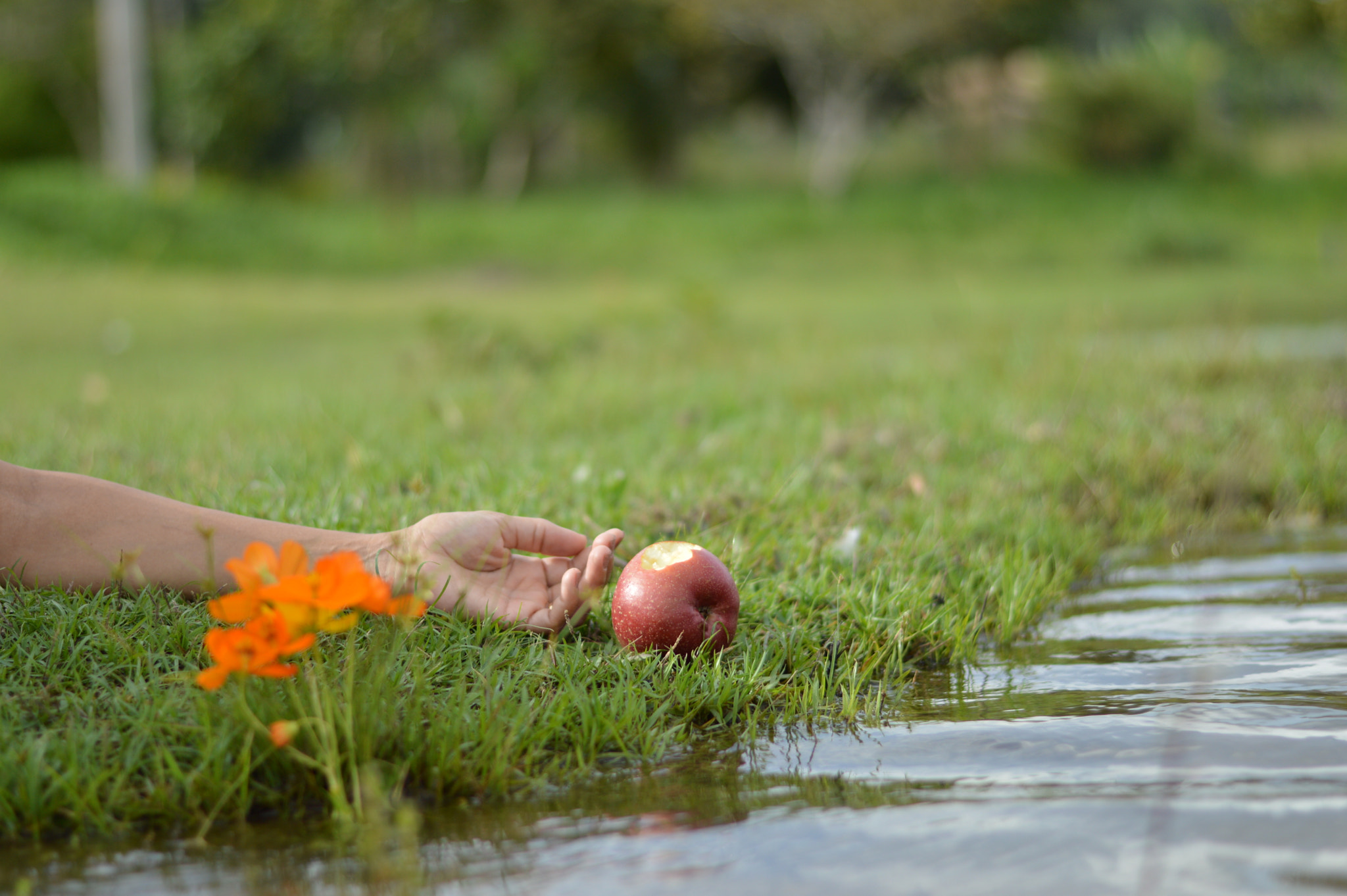 Nikon D3200 + Nikon AF-S Nikkor 50mm F1.8G sample photo. 🍎 photography