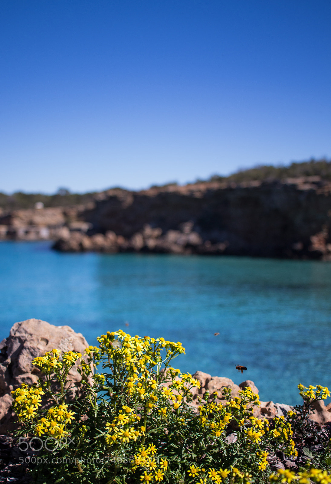 Canon EOS 100D (EOS Rebel SL1 / EOS Kiss X7) sample photo. Winter in ibiza photography