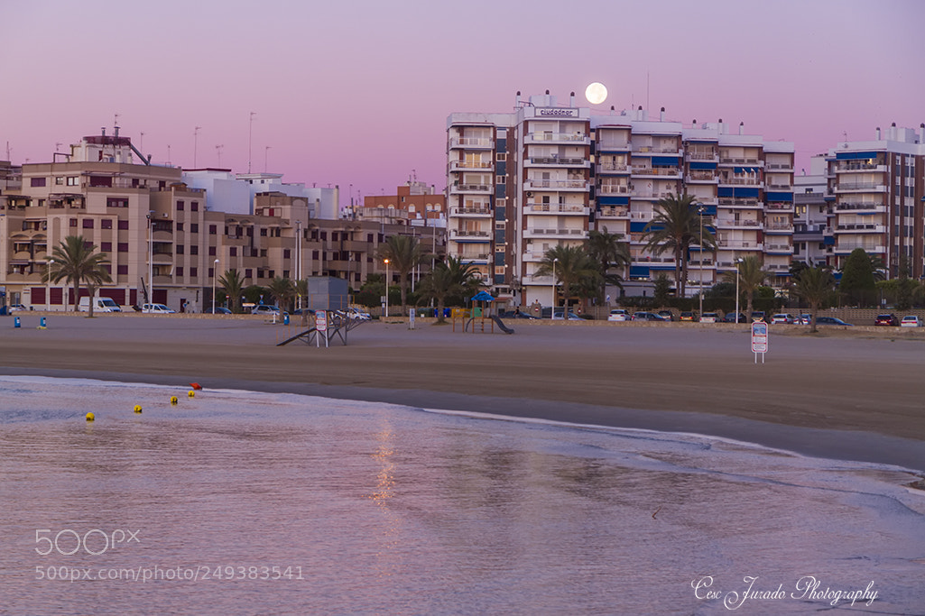 Canon EOS 7D sample photo. La luna en los photography