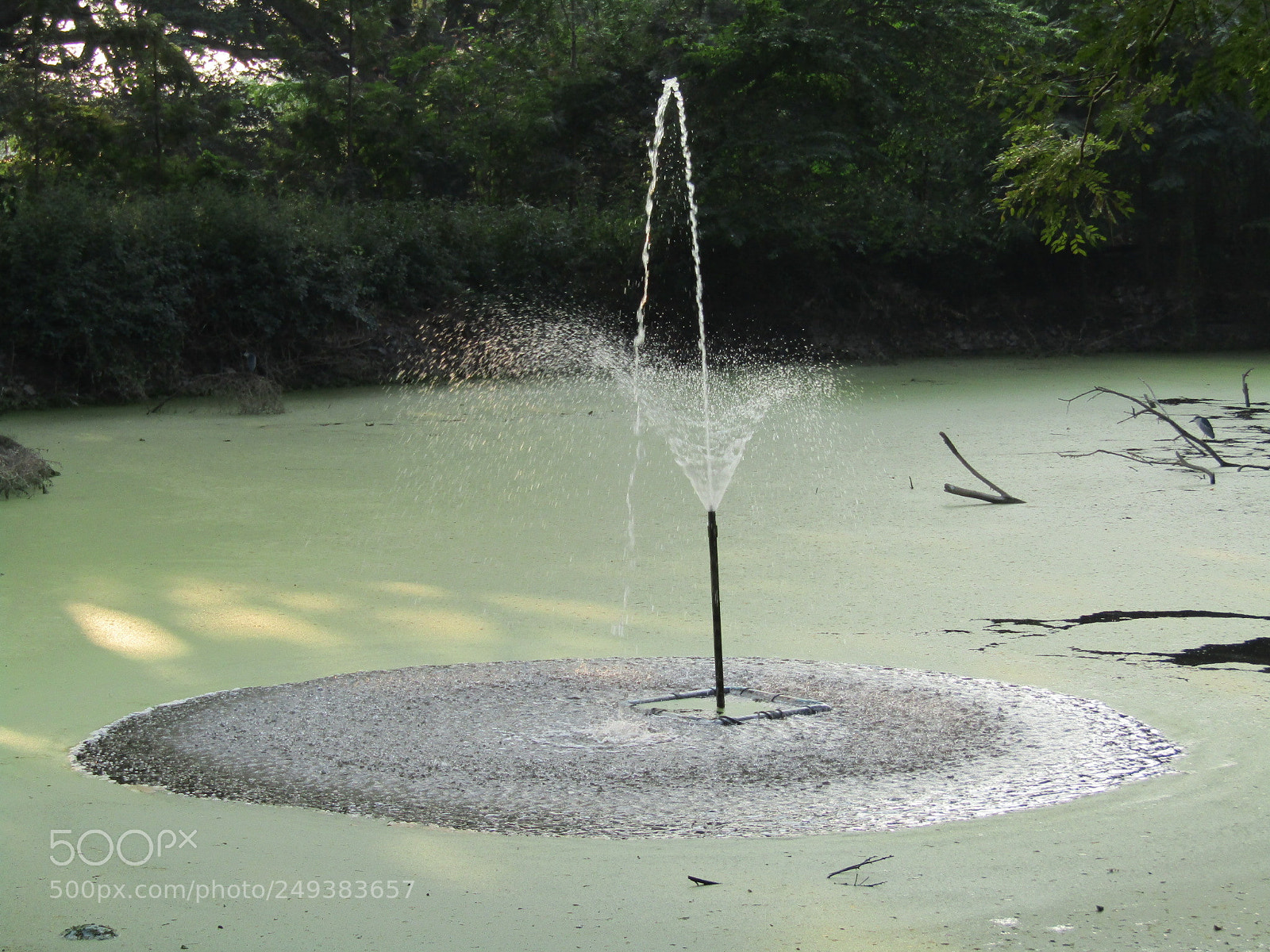 Canon POWERSHOT SX430 IS sample photo. Green lake photography