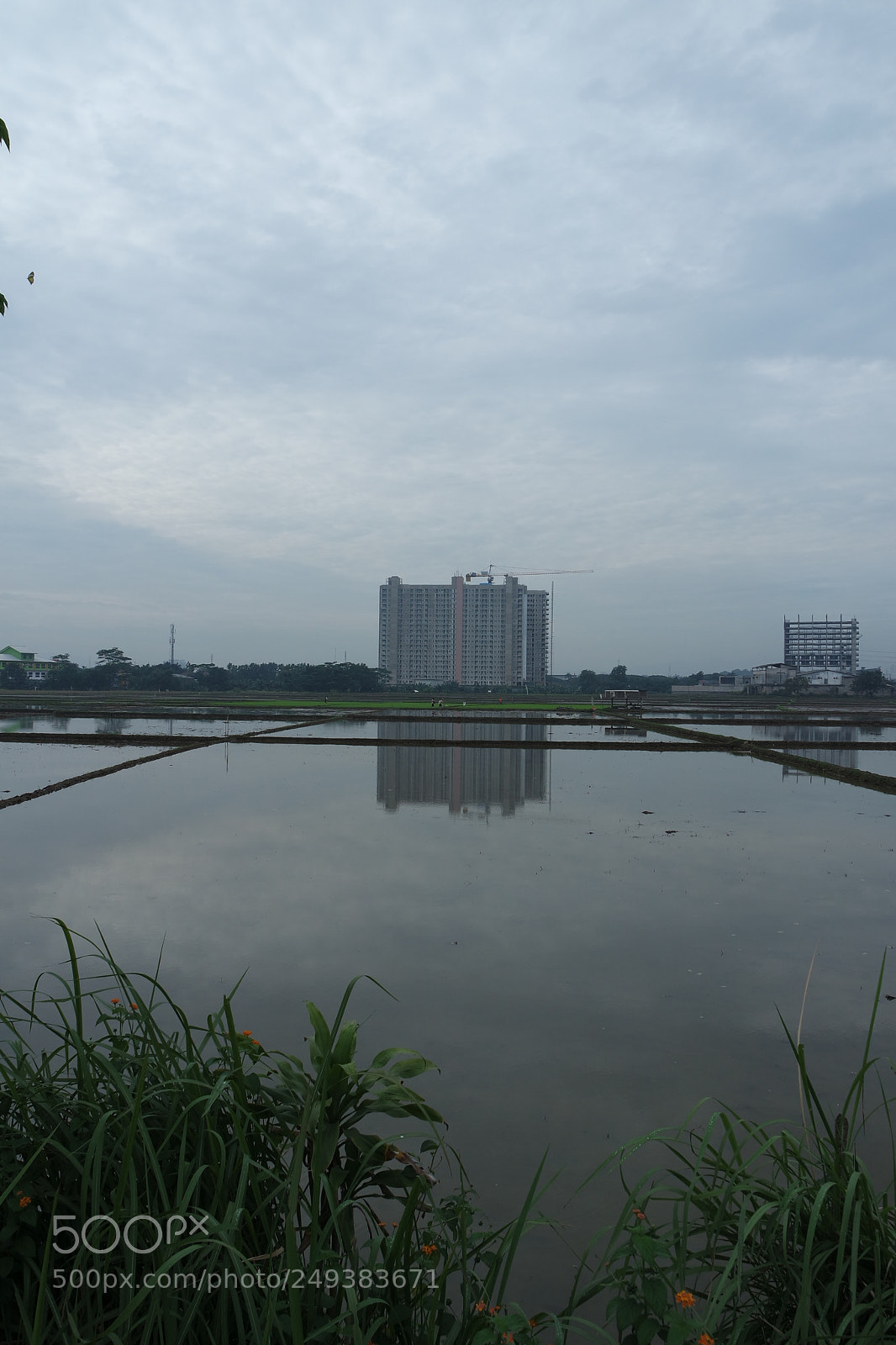 Samsung NX3000 sample photo. Block on fields photography