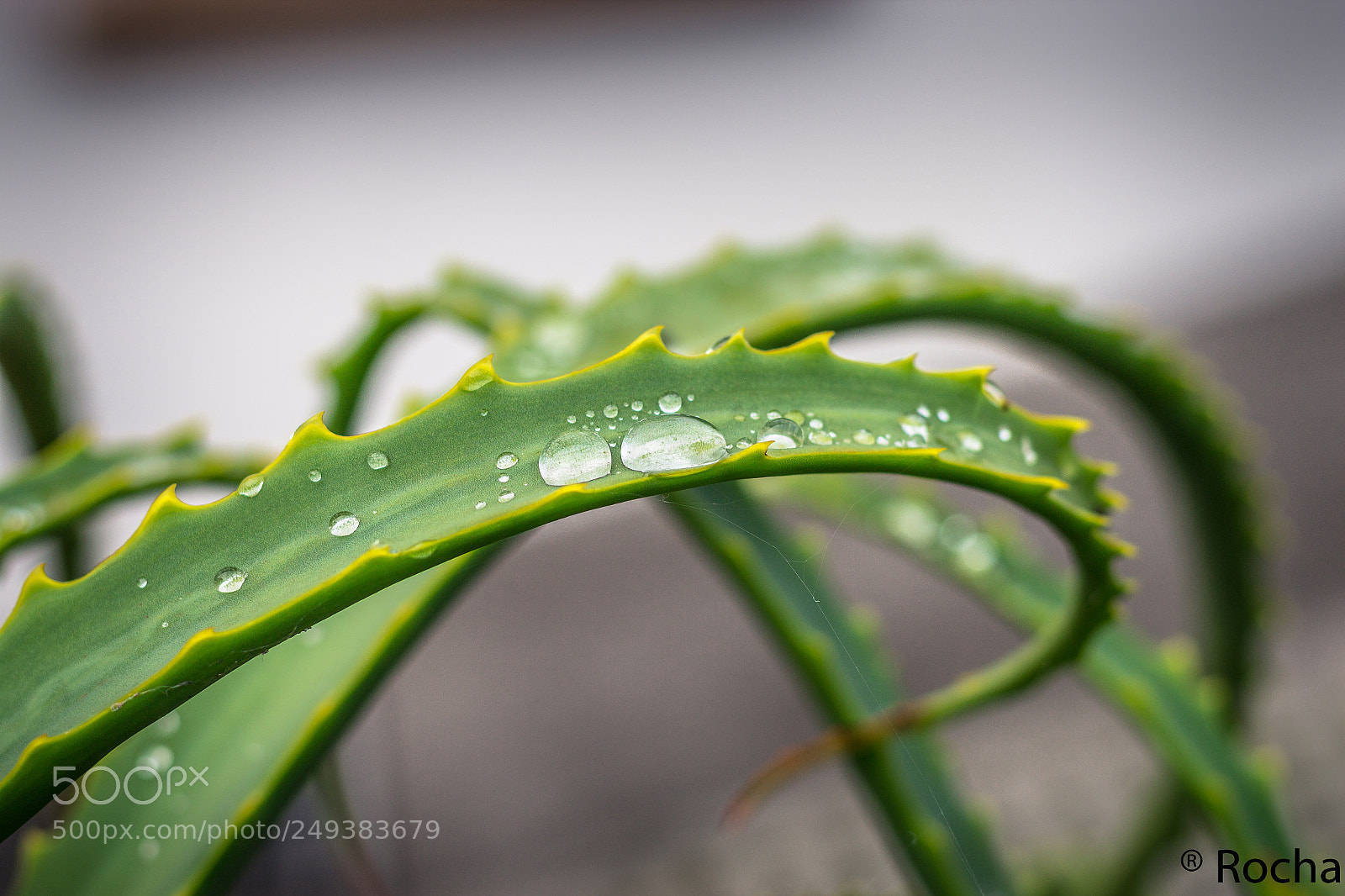 Canon EOS 600D (Rebel EOS T3i / EOS Kiss X5) sample photo. Agua photography