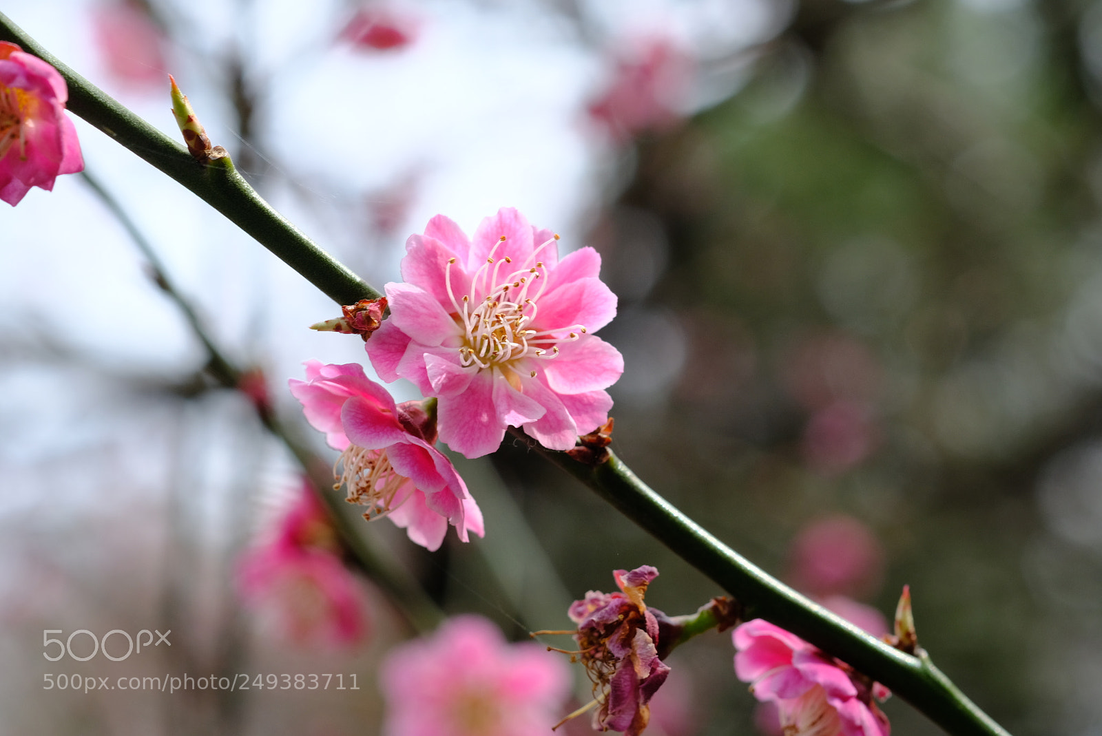 Fujifilm X-T20 sample photo. Untitled photography