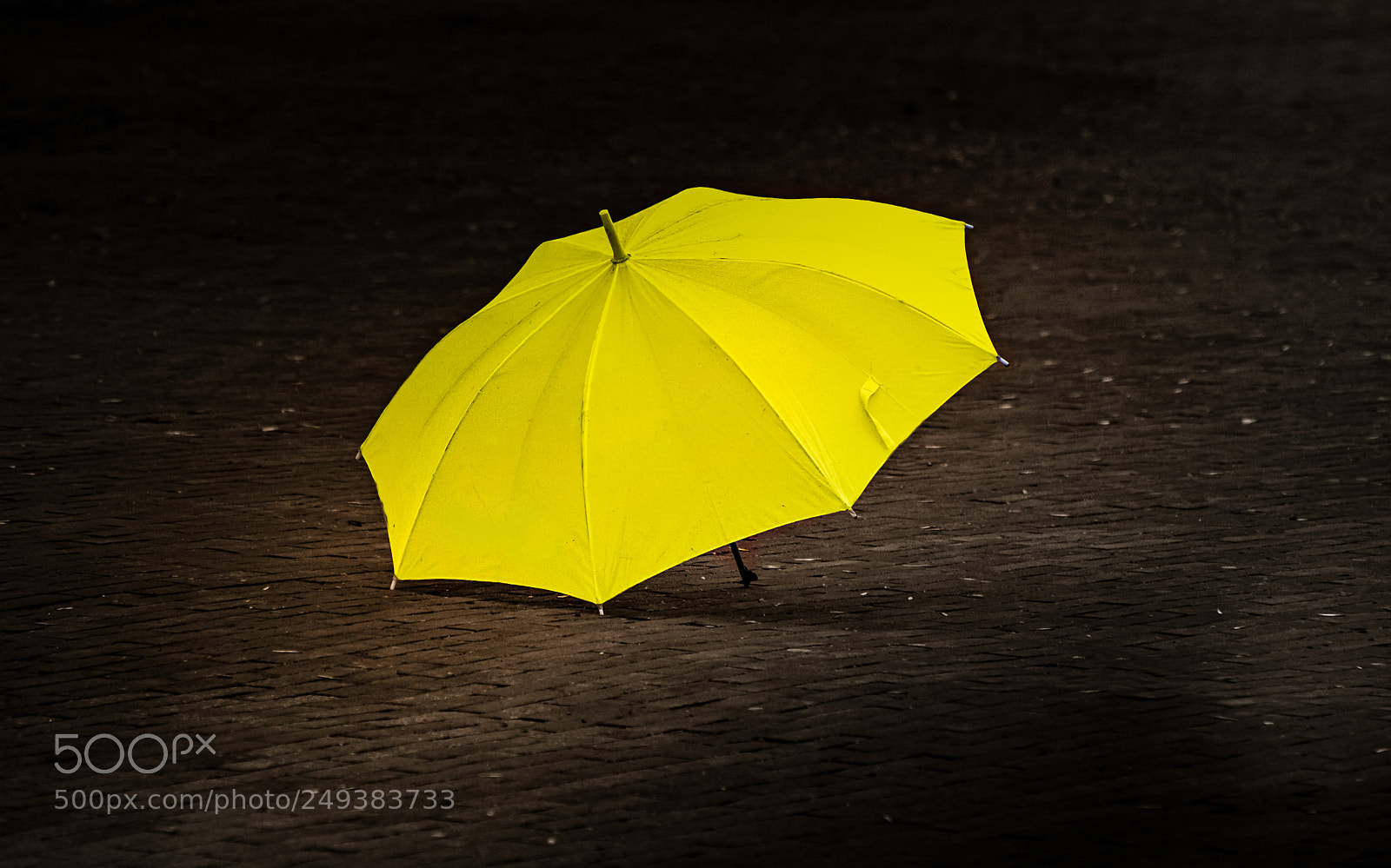 Nikon D3200 sample photo. Yellow mood photography