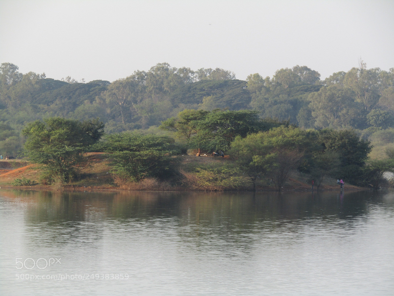 Canon POWERSHOT SX430 IS sample photo. Lake near forest photography