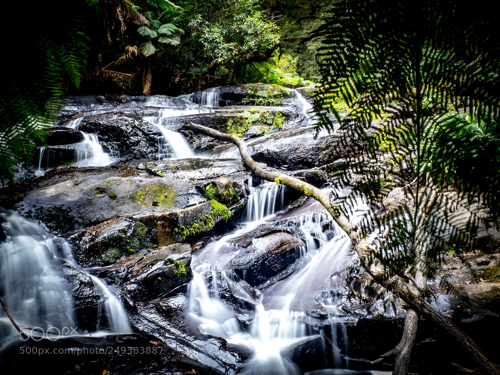 Olympus OM-D E-M10 sample photo. Playful streams photography
