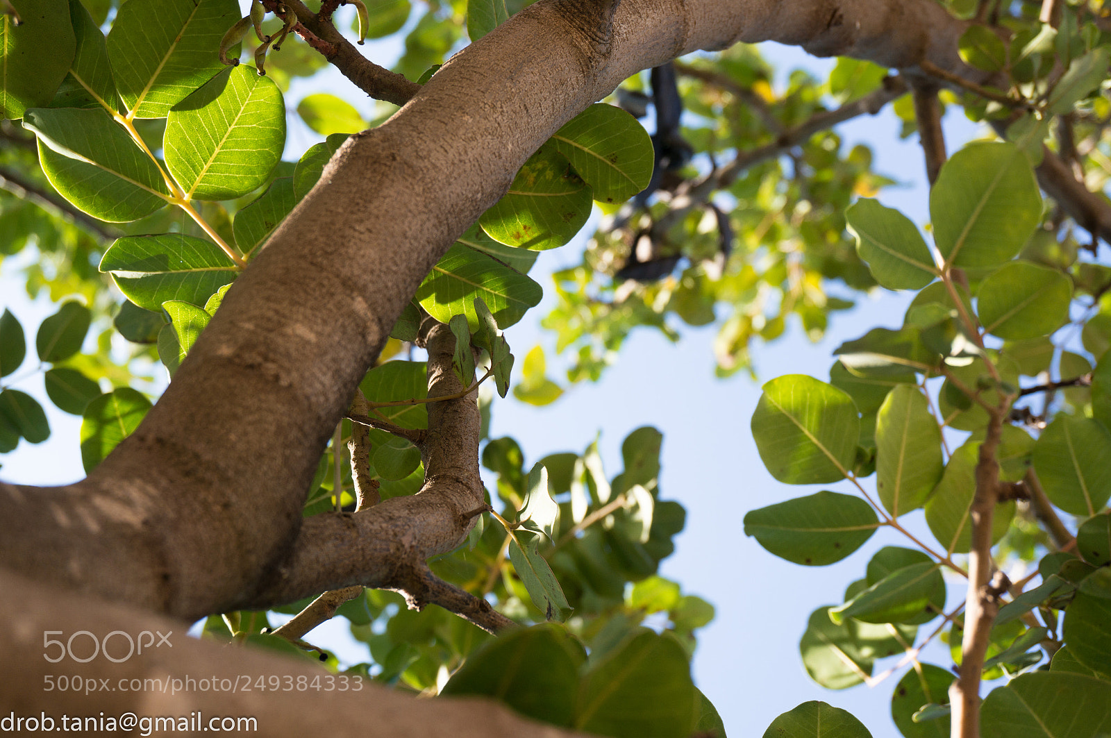 Sony Alpha NEX-5T sample photo. Piece of sky photography