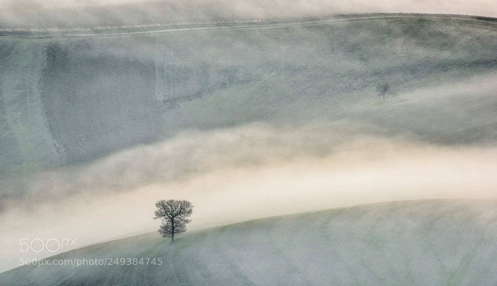 Nikon D810 sample photo. Echo across valley photography