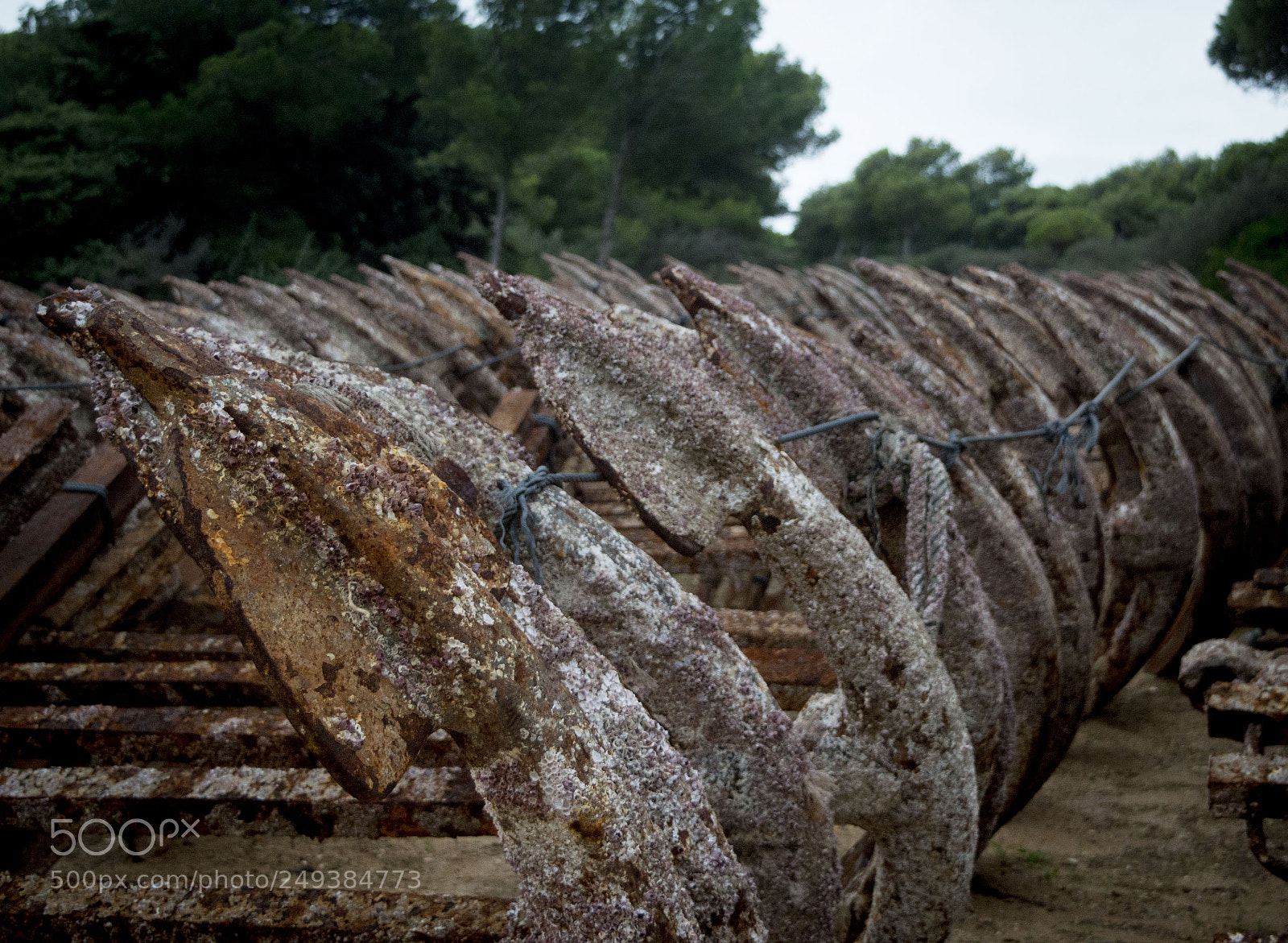 Nikon D3200 sample photo. Anclas o photography