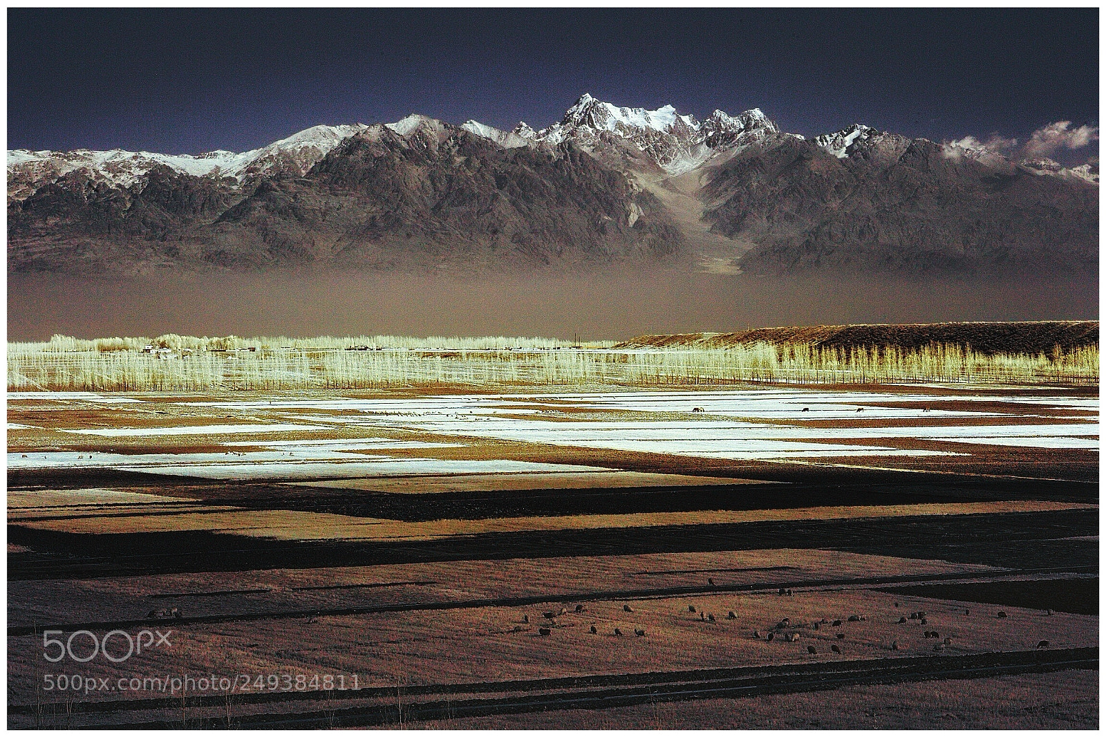 Canon EOS 5D sample photo. Xinjiang china photography