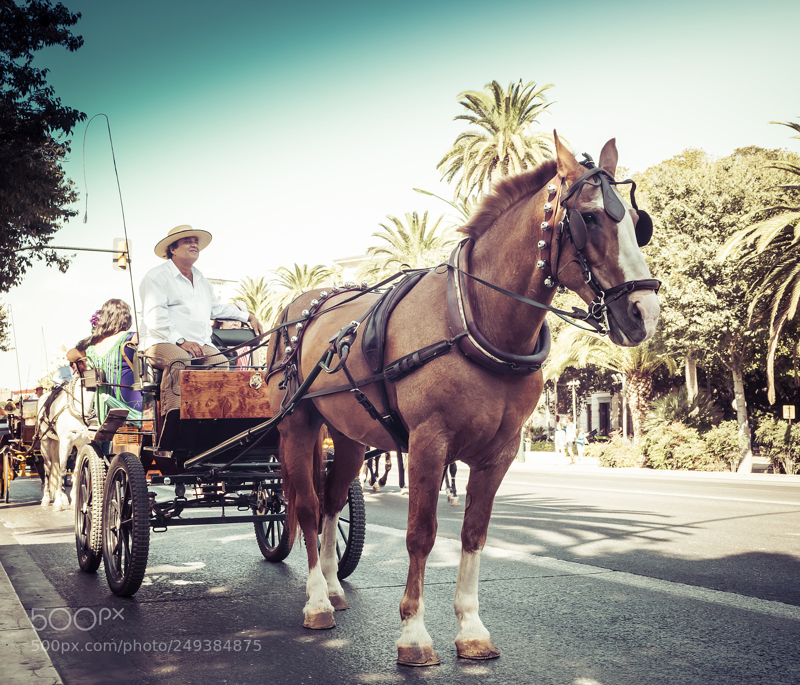 Nikon D7200 sample photo. La calesa o photography