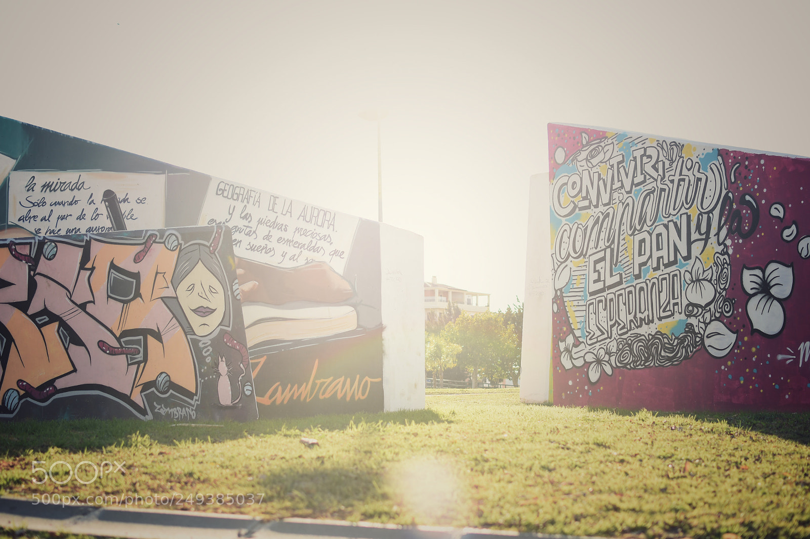 Nikon D7200 sample photo. Grafitti photography