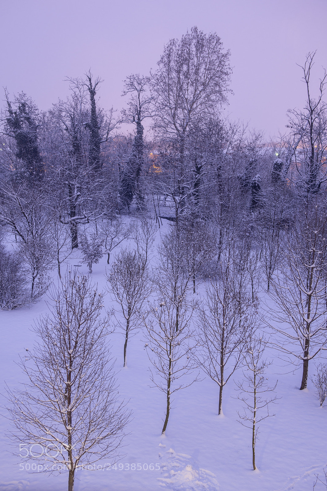Nikon D610 sample photo. Snow out of my photography