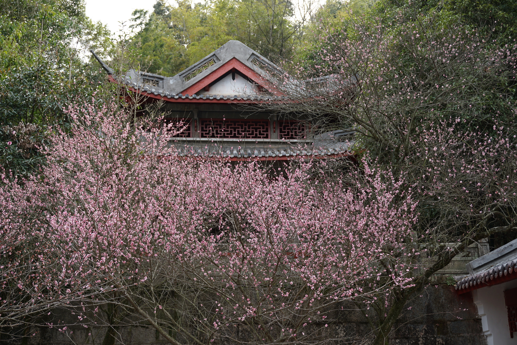 Sony a6000 + Sony E 18-50mm F4-5.6 sample photo. Xichun photography