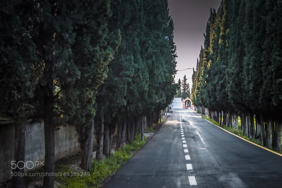 Nikon D3200 sample photo. Caminos que siempre llevan photography