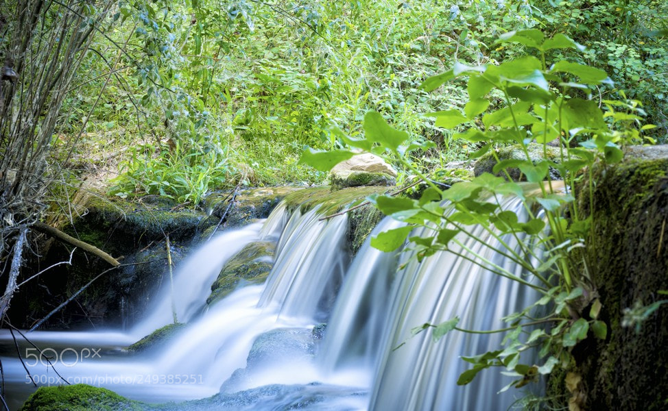 Nikon D7200 sample photo. Cataratita o photography
