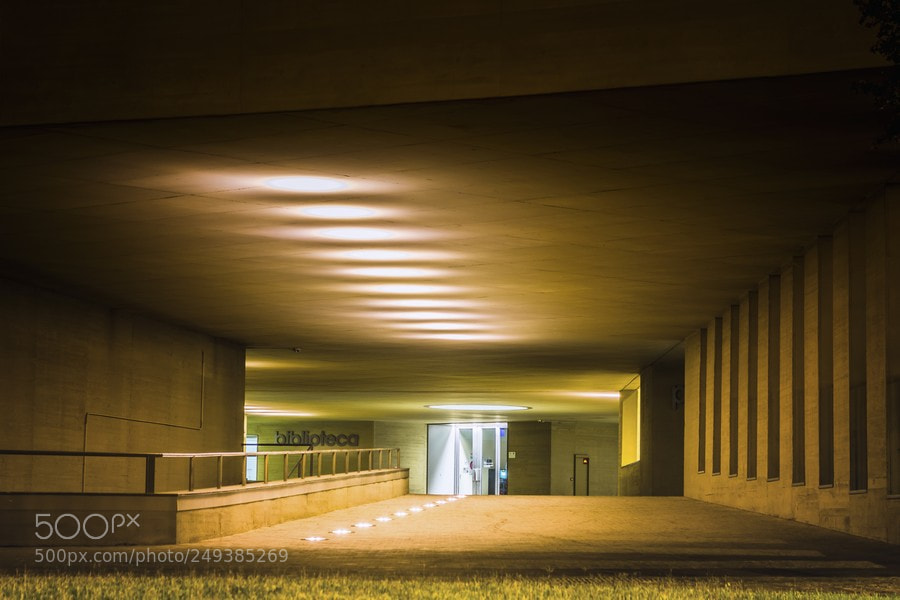 Nikon D7200 sample photo. Entrada a la biblioteca photography