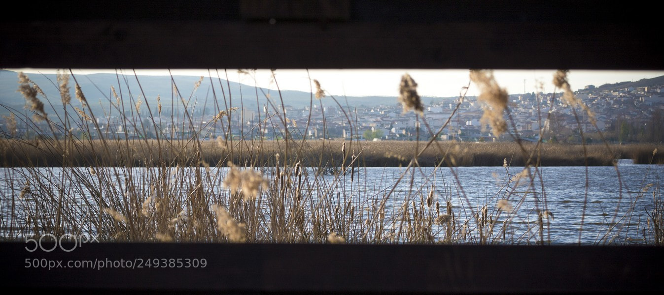Nikon D3200 sample photo. Mirador o photography
