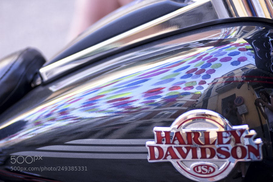 Nikon D7200 sample photo. Reflejo o photography