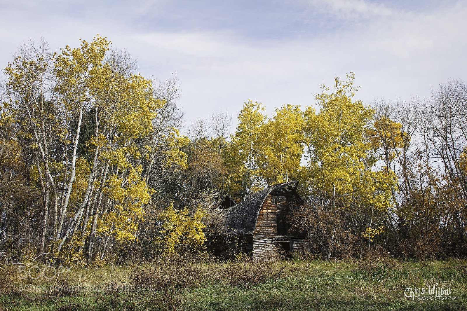 Canon EOS 60D sample photo. Rural decay photography