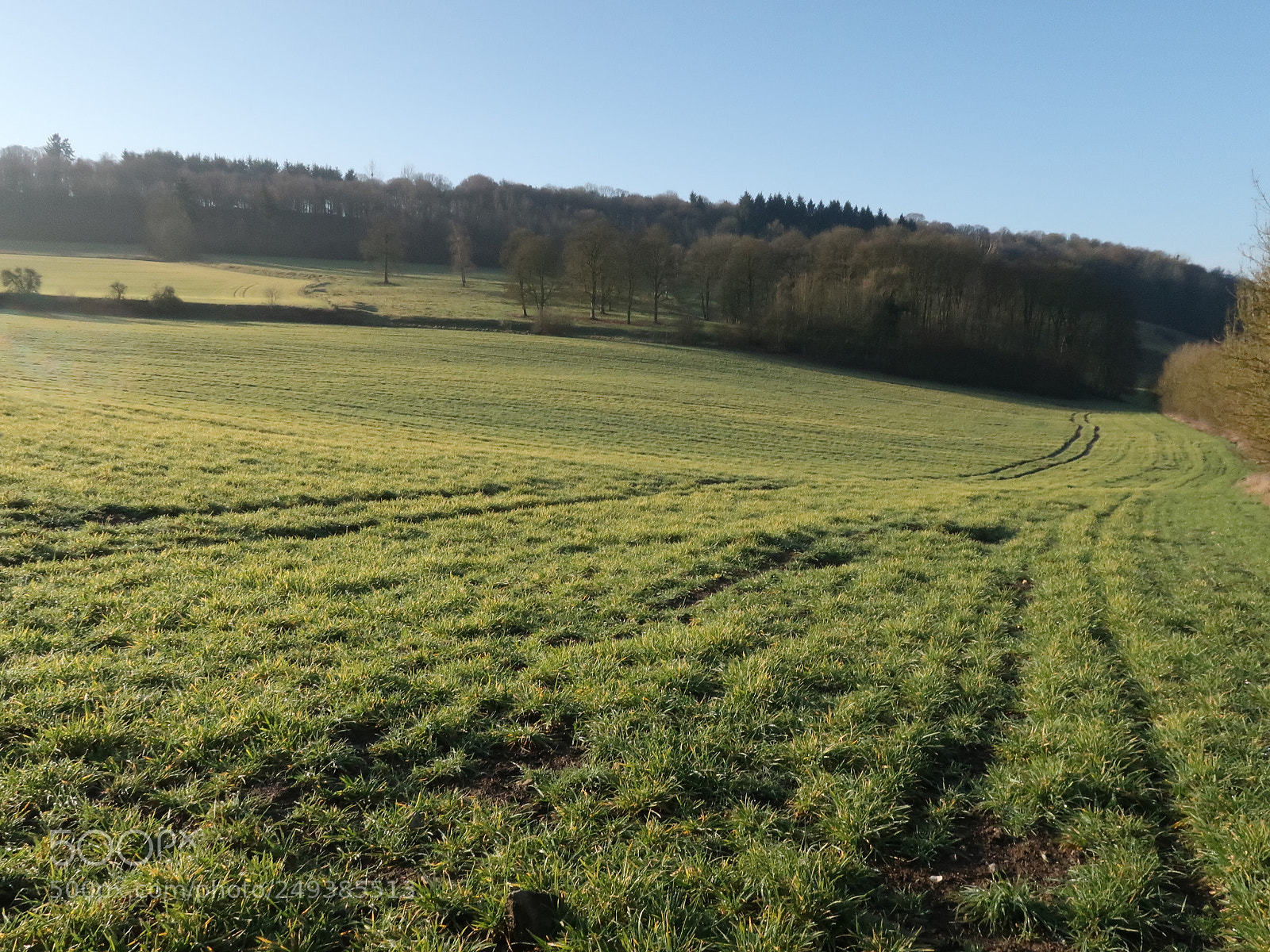 Canon PowerShot G9 X Mark II sample photo. In the coutryside. photography