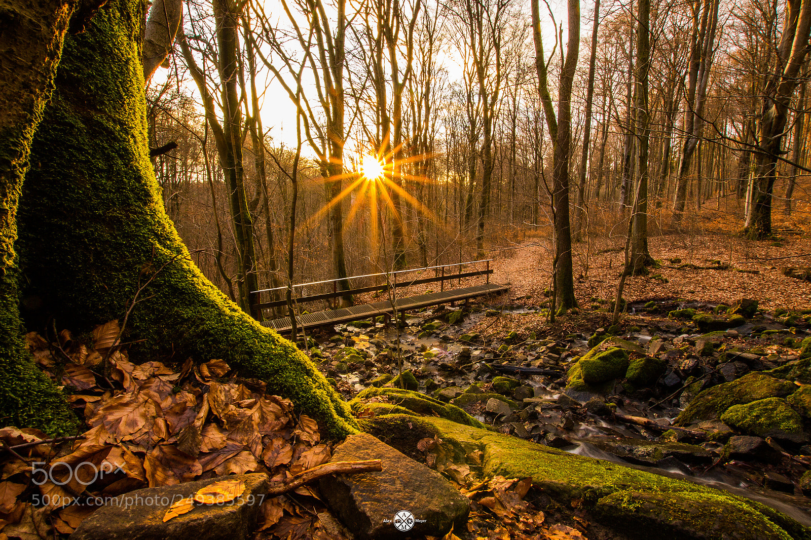 Canon EOS 700D (EOS Rebel T5i / EOS Kiss X7i) sample photo. Sonnenuntergang im wald ? photography