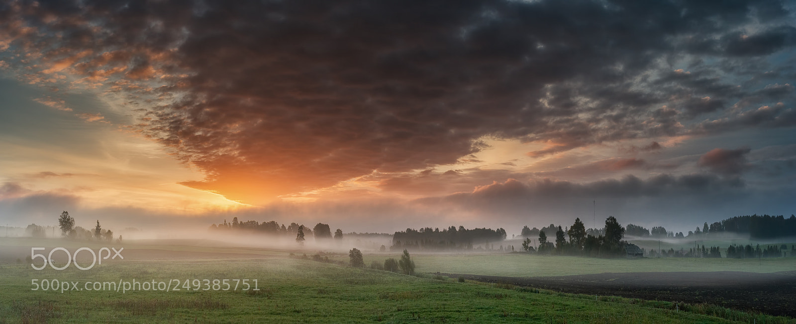 Nikon D3S sample photo. Fog photography