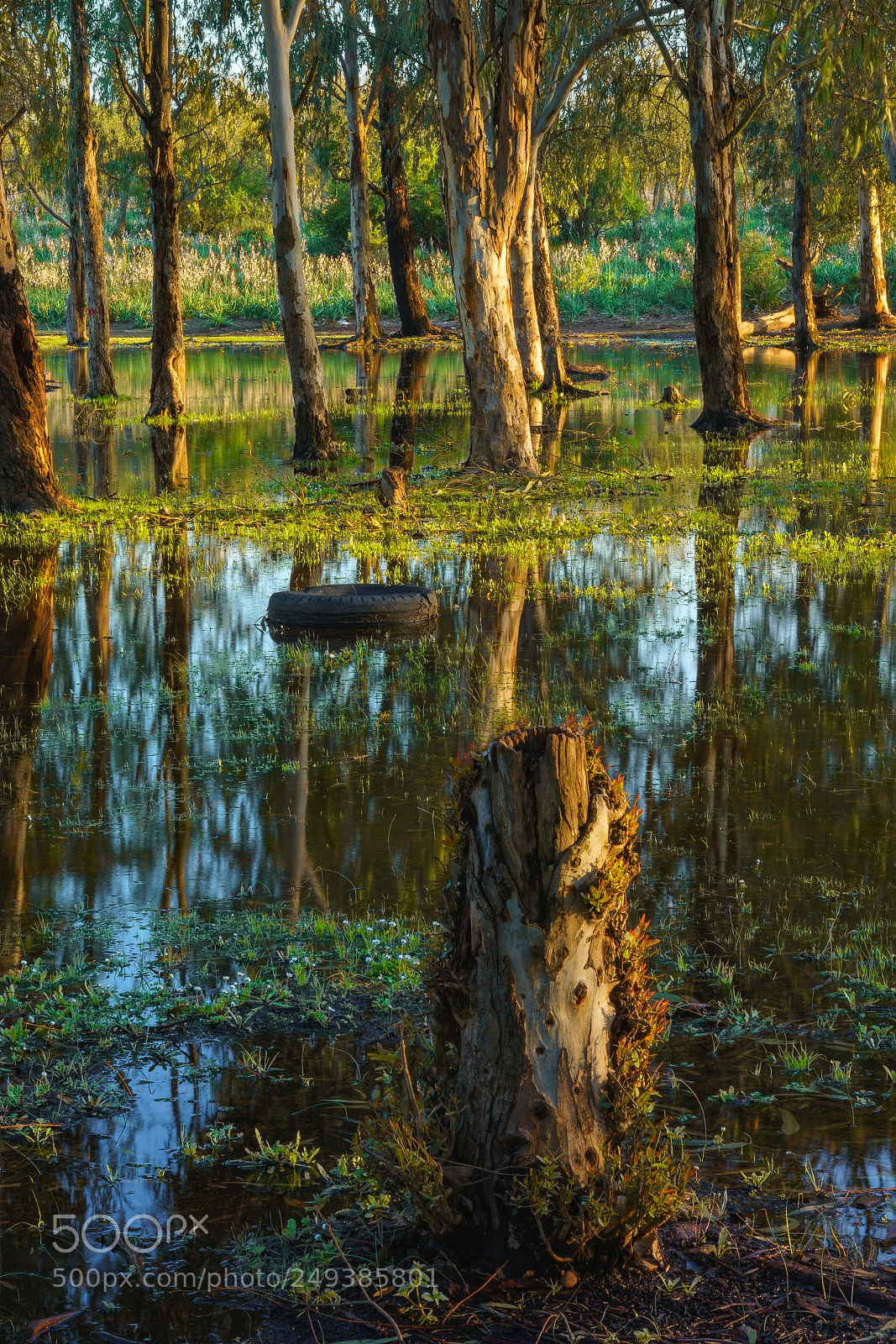 Sony a7R II sample photo. Totem photography