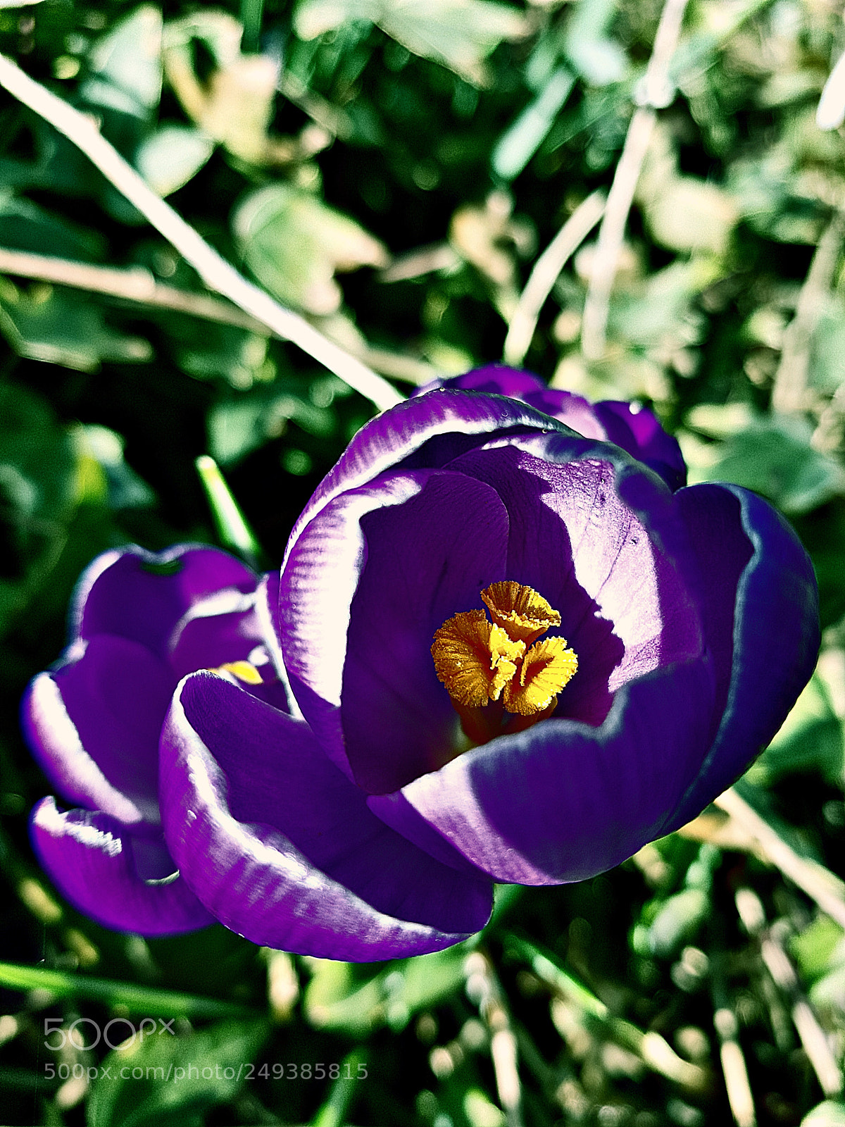 Samsung Galaxy S8+ sample photo. Untitled photography