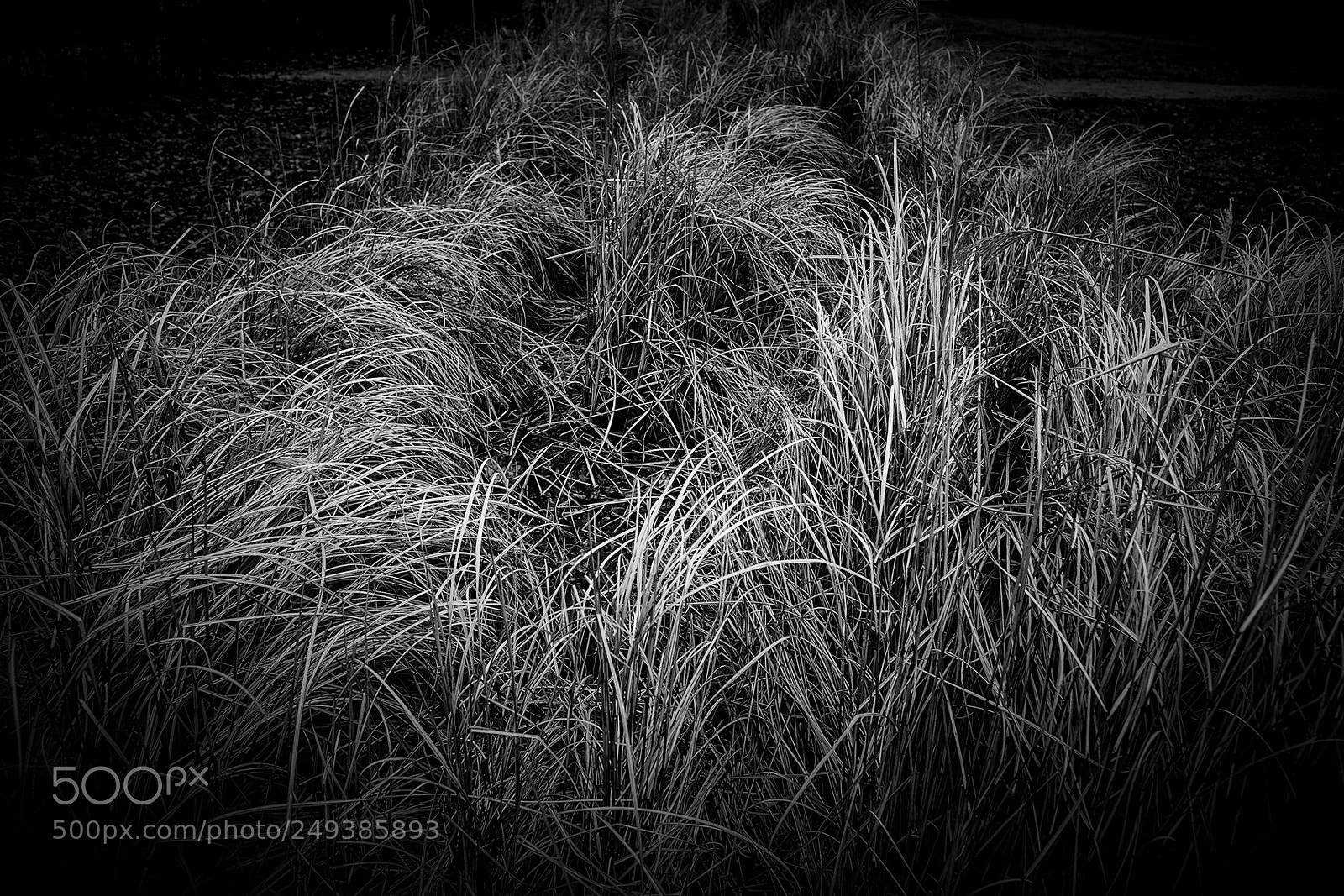 Fujifilm X-T1 sample photo. Strukturen photography
