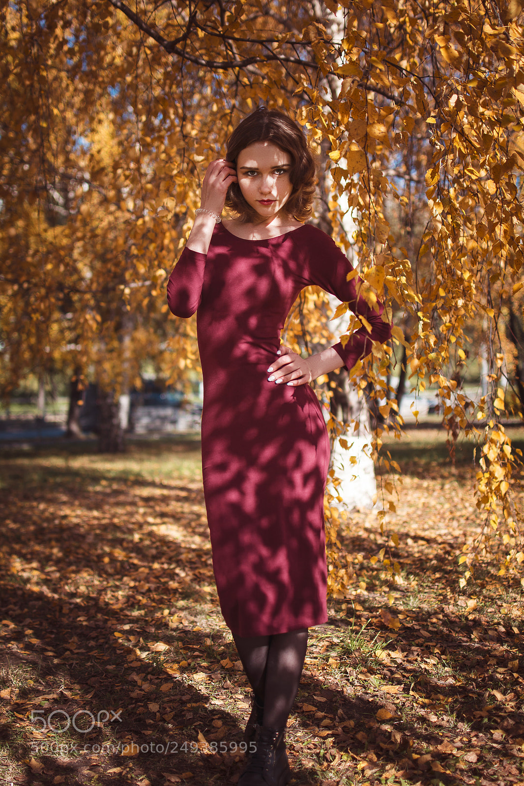 Nikon D5200 sample photo. Gold autumn photography