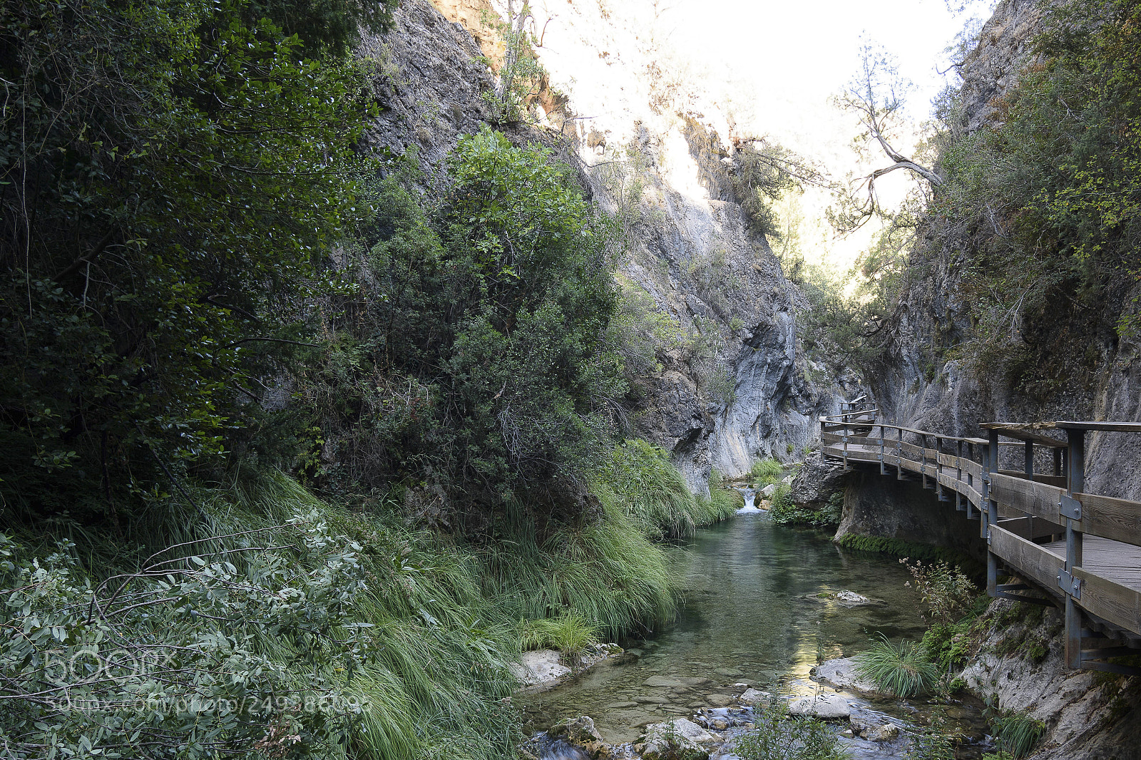 Nikon D7200 sample photo. Ro borosa o photography