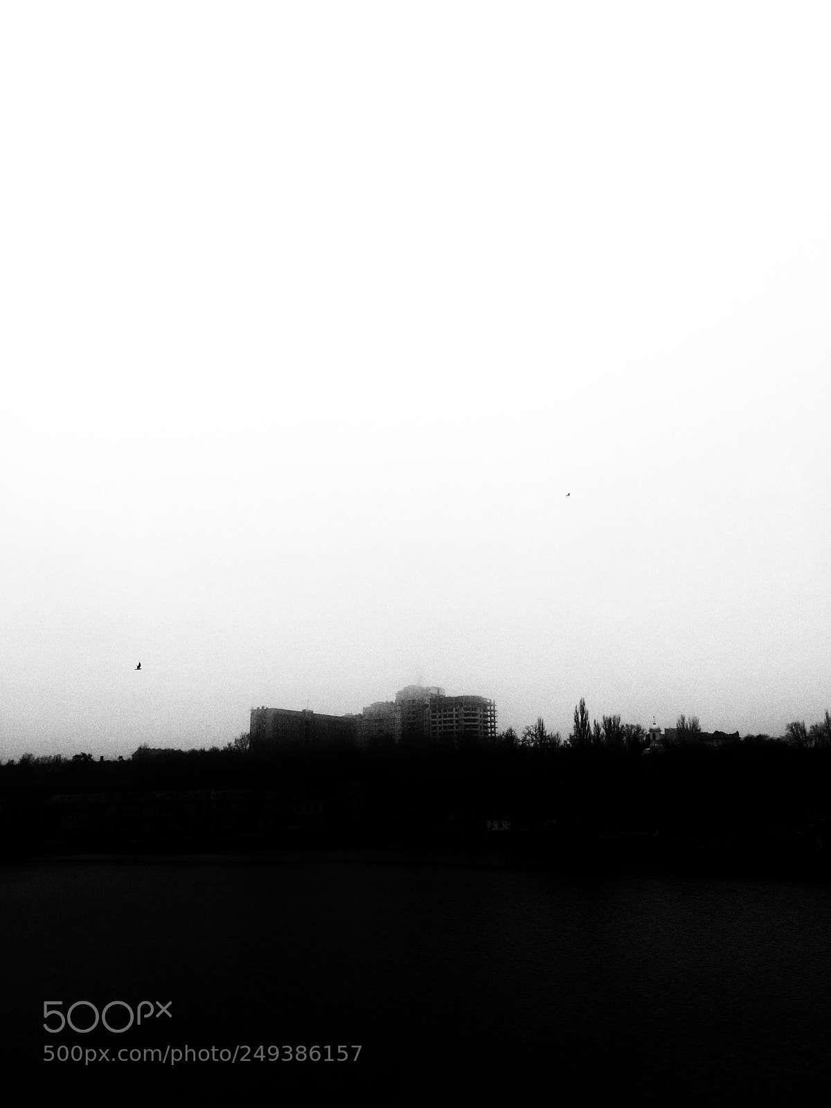 Apple iPhone 6s Plus sample photo. B&w photography