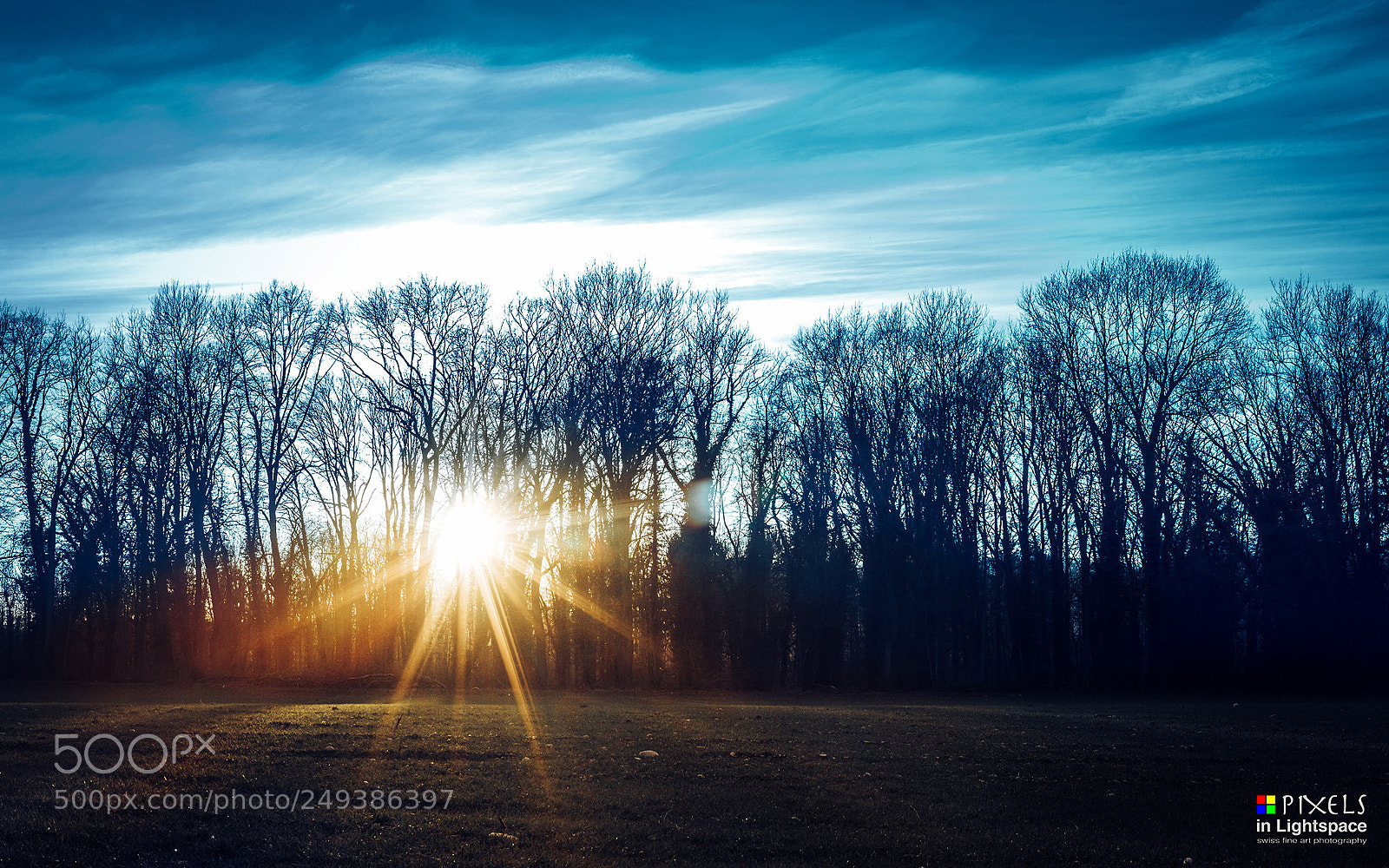 Nikon D810 sample photo. Cold winter despite sun photography