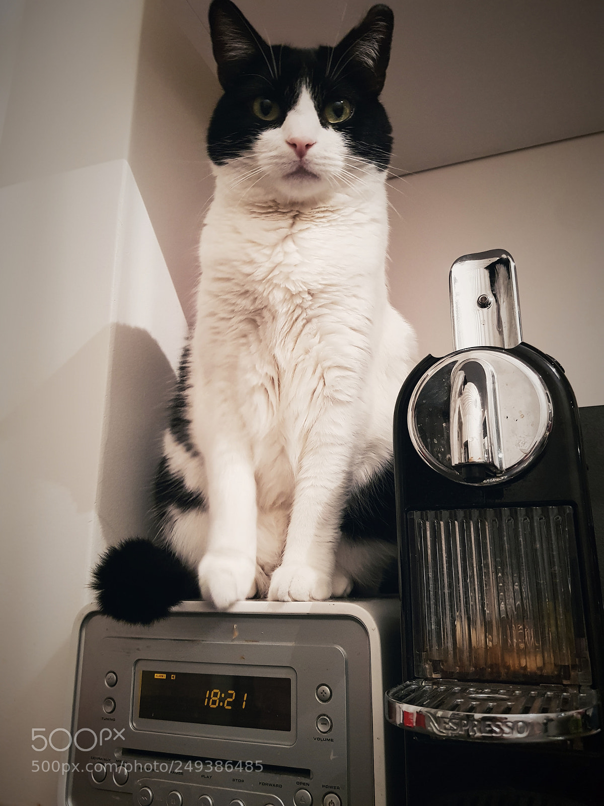 Samsung Galaxy S8 sample photo. Untitled photography