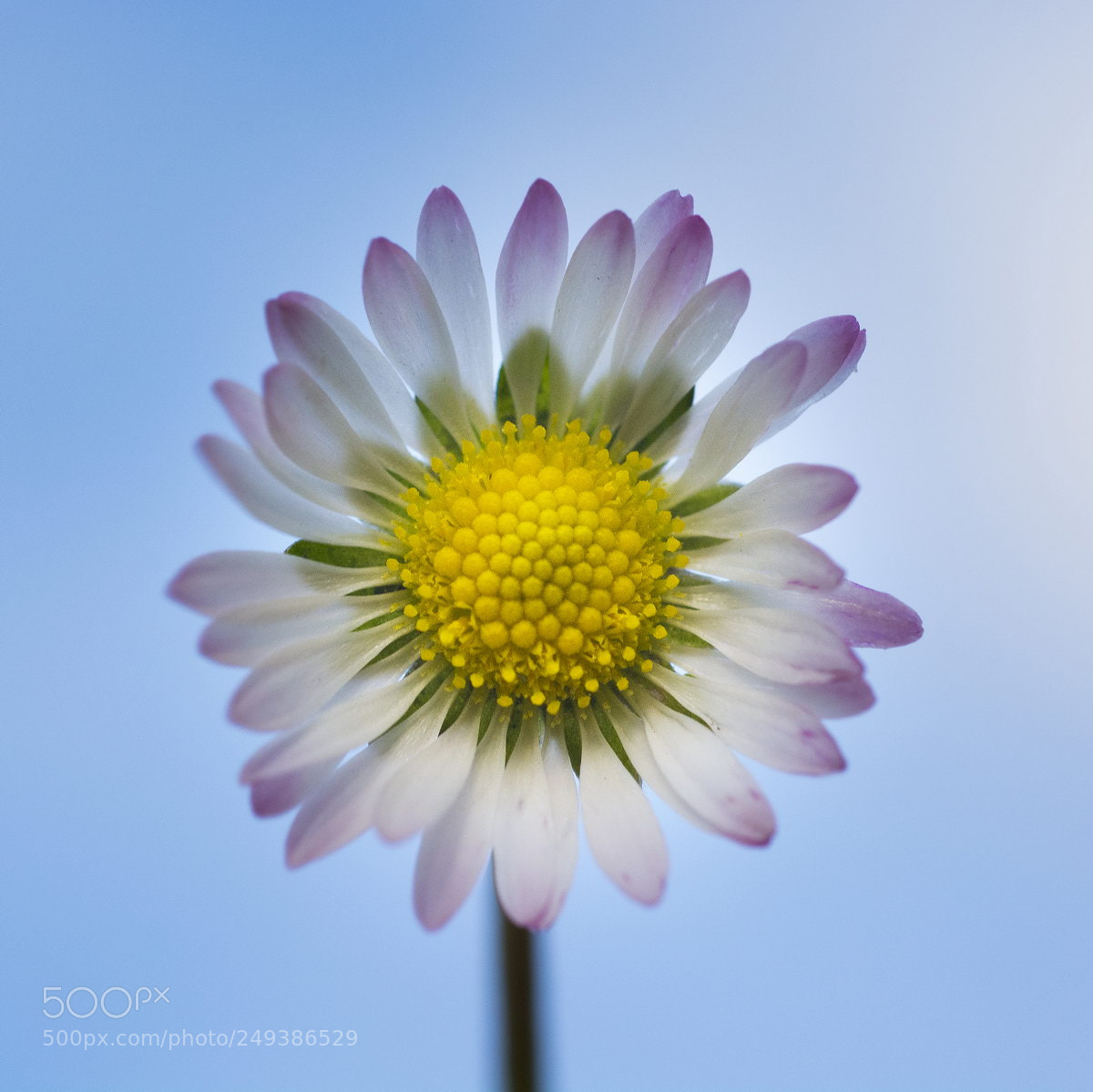 Nikon D7100 sample photo. Sun photography