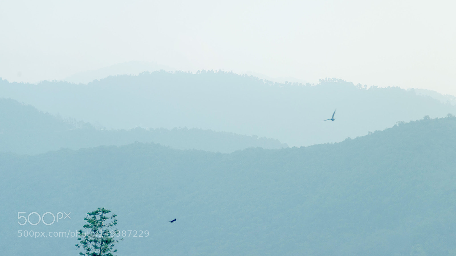 Nikon D610 sample photo. Mountains photography