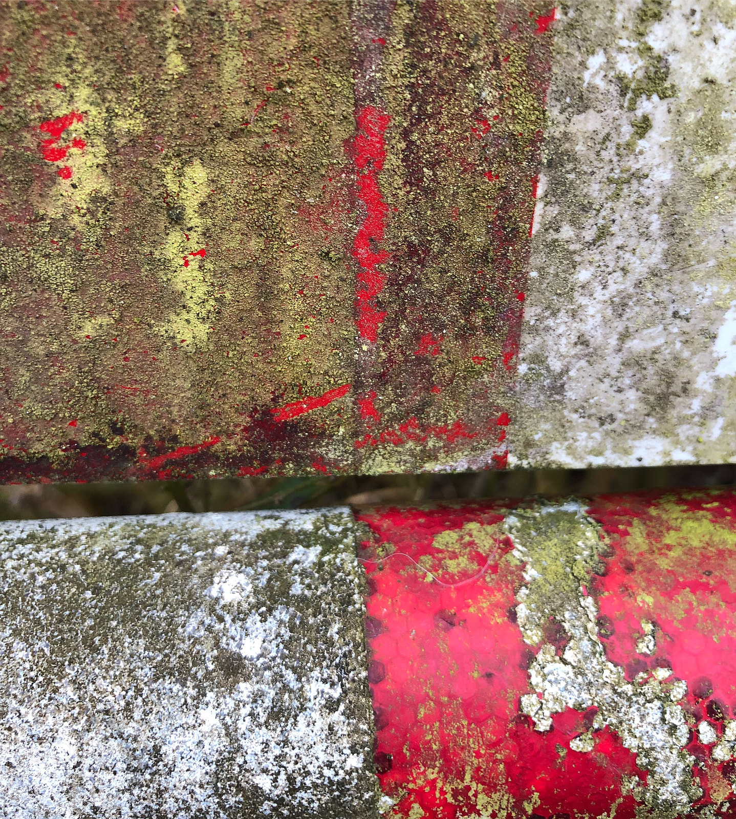 Apple iPhone 8 Plus sample photo. #helleajensen #coloursareamazing #coloursareeveryw ... photography