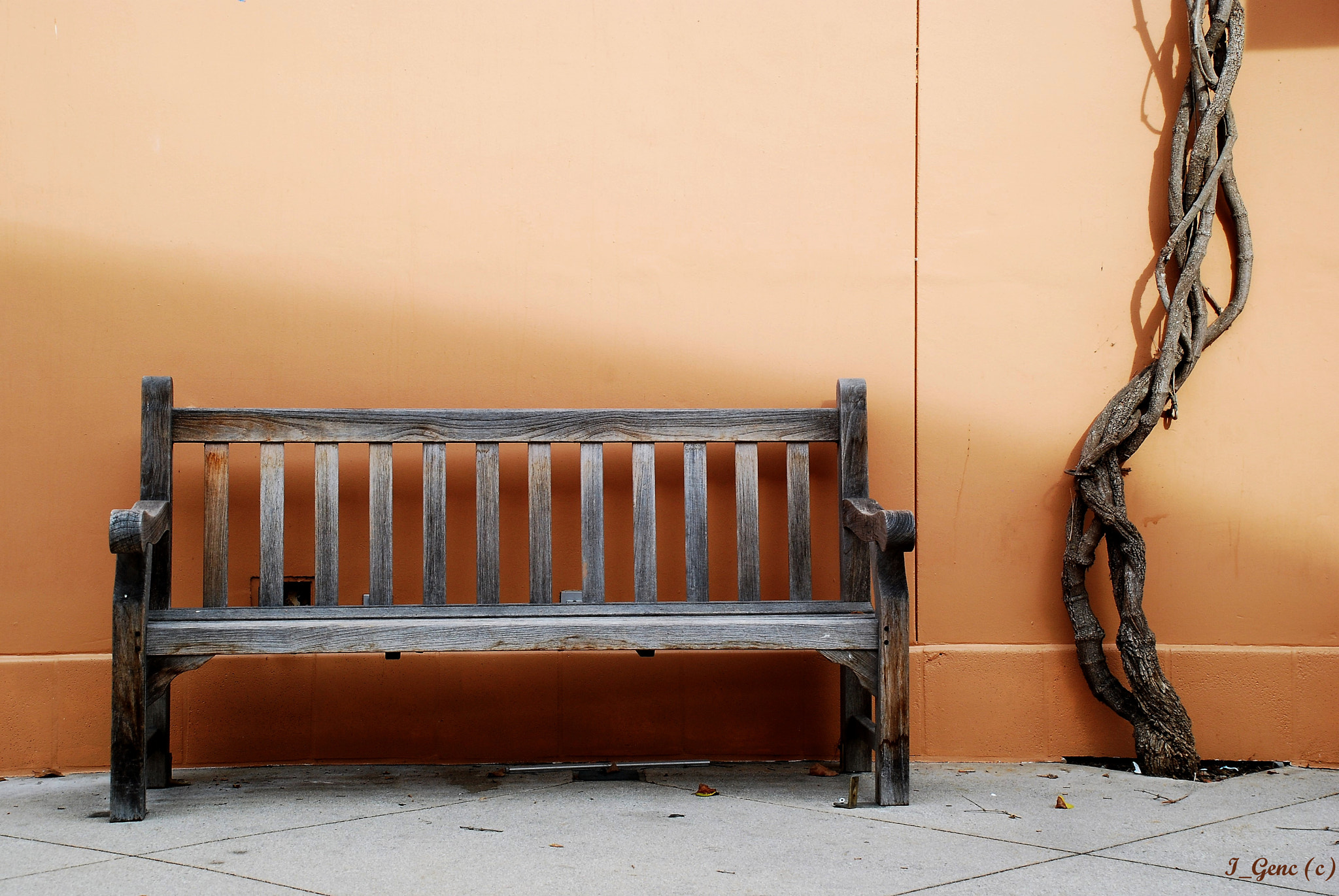 Nikon D80 sample photo. Where are you? when will summer days come? photography
