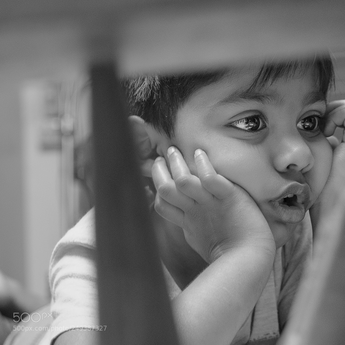 Nikon D7000 sample photo. Inquisitiveness photography