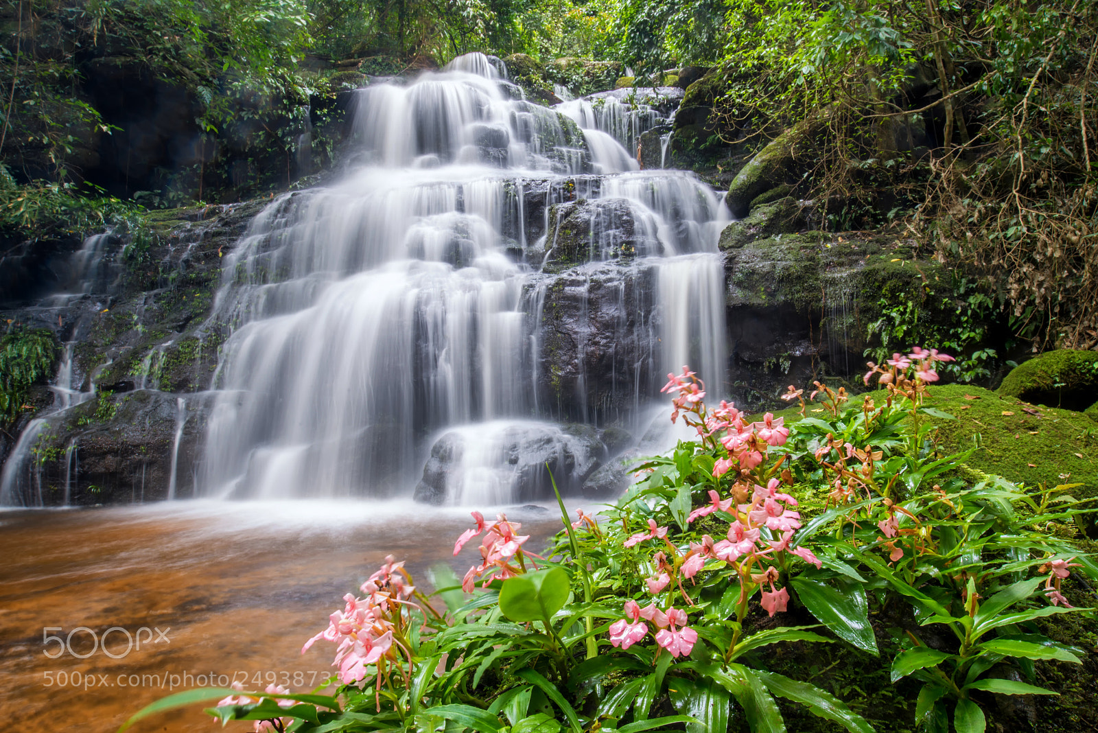 Nikon D600 sample photo. Beautiful waterfall with pink photography