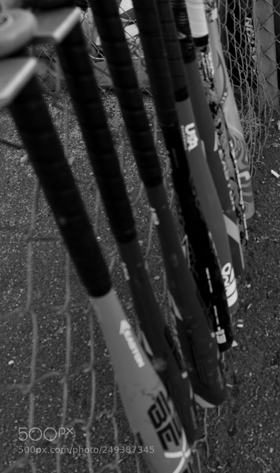 Nikon D7100 sample photo. Bats b&w photography