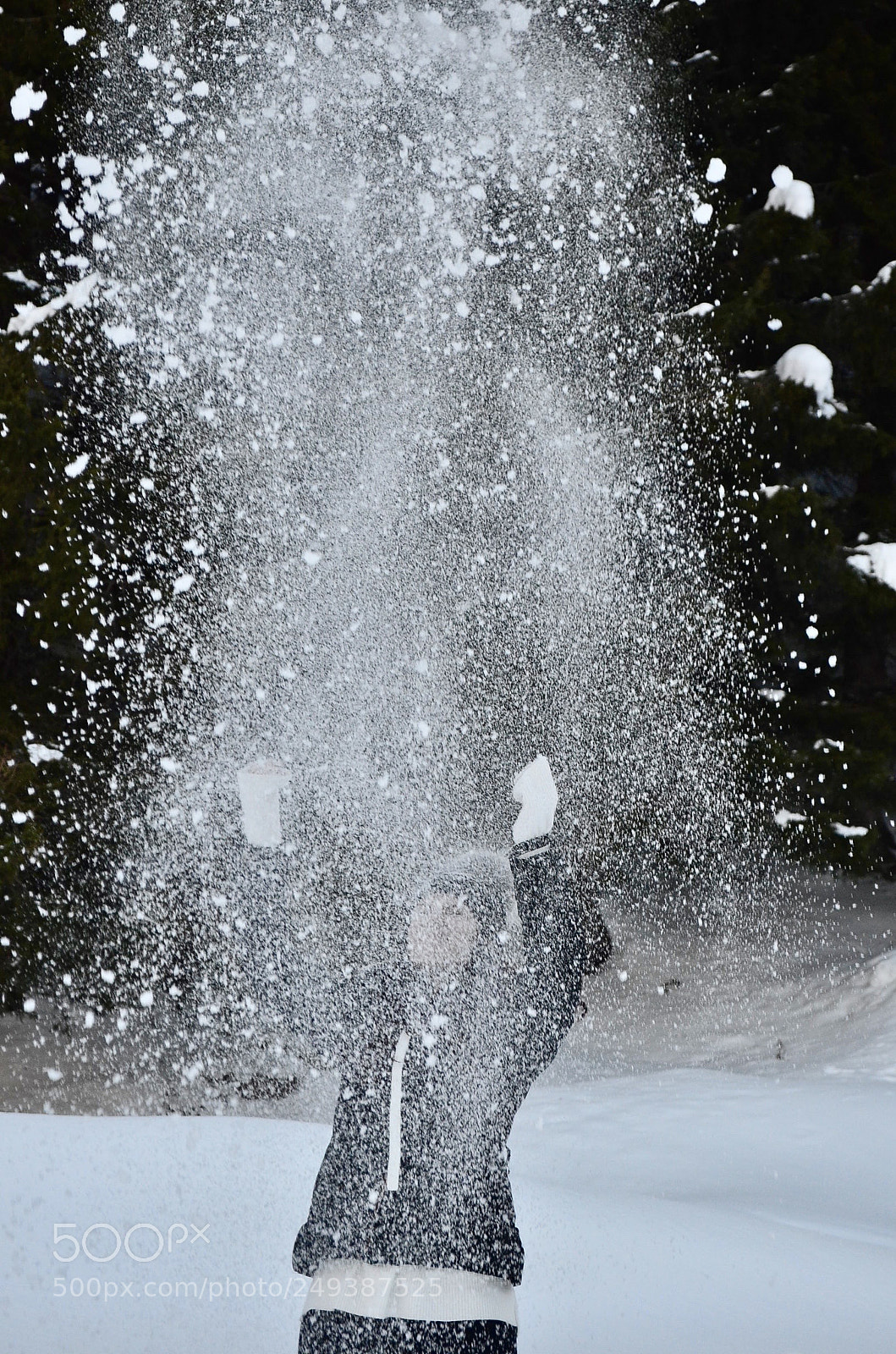 Nikon D5100 sample photo. Snow fall photography